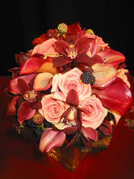 deborahjean21481