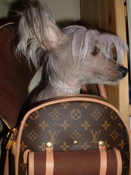 lolita4life
