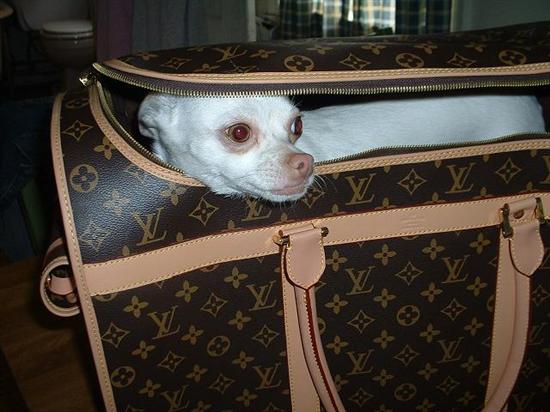 lolita4life