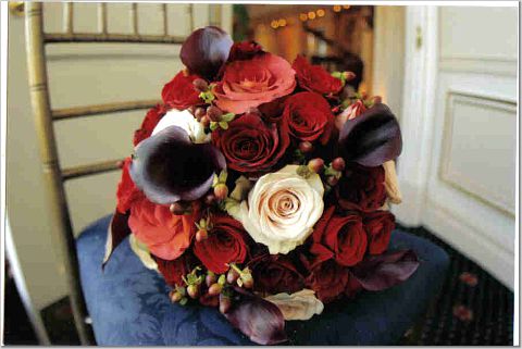 Fall Bride 2008
