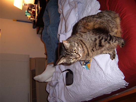teenigrrl