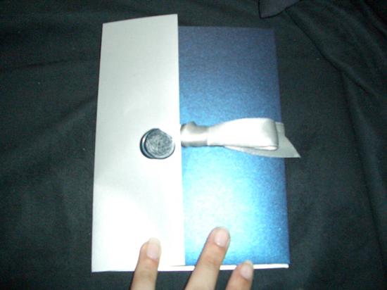 BrideInBlue