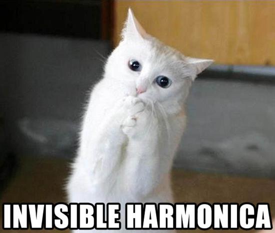 KitWisdom