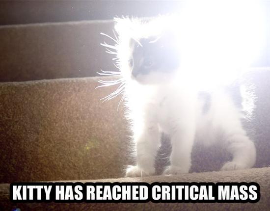 KitWisdom