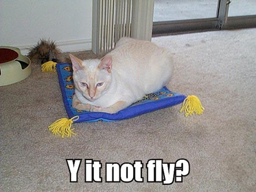 KitWisdom