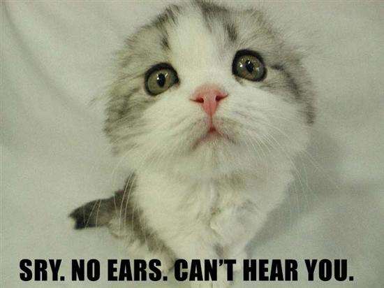 KitWisdom