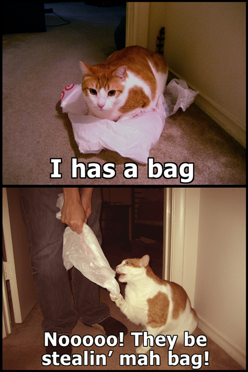 KitWisdom