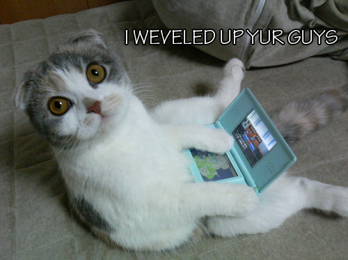 KitWisdom