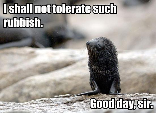KitWisdom