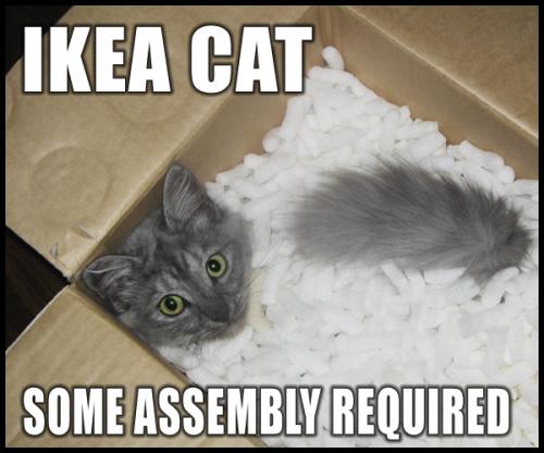 KitWisdom