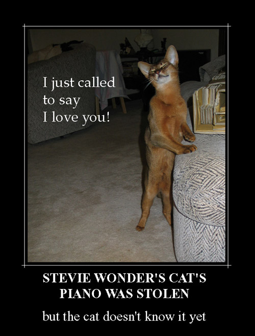 KitWisdom