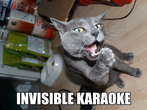 KitWisdom
