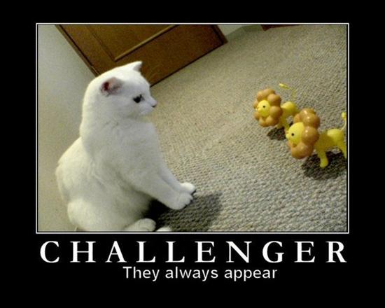 KitWisdom