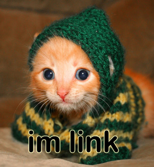 KitWisdom