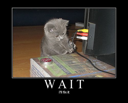 KitWisdom