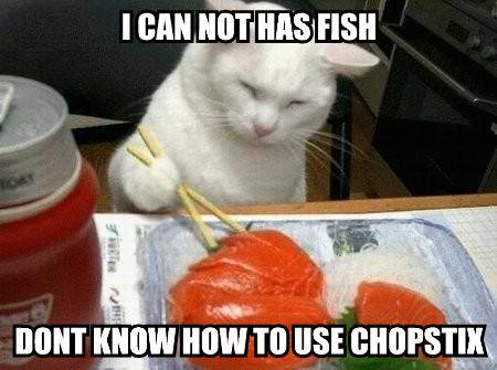 KitWisdom