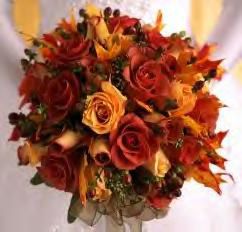 Fall Bride 2008