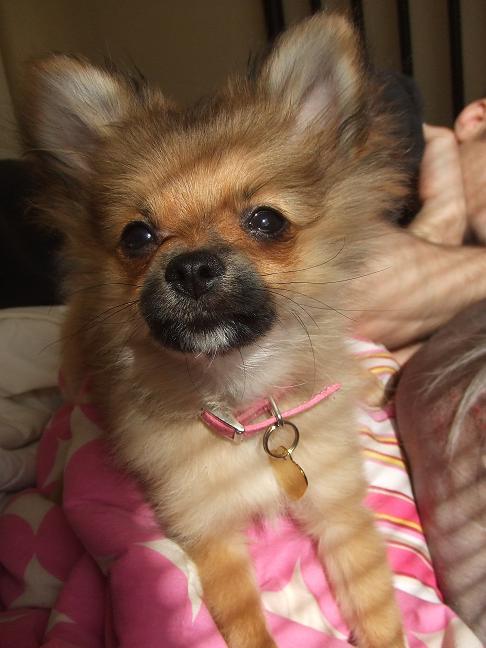 lolita4life