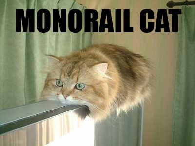 KitWisdom
