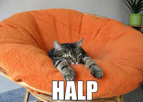 KitWisdom
