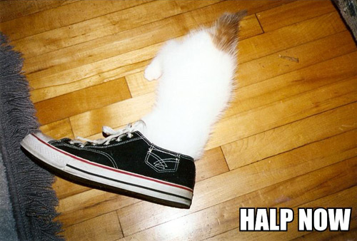 KitWisdom