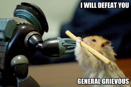 KitWisdom