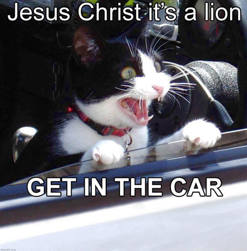 KitWisdom