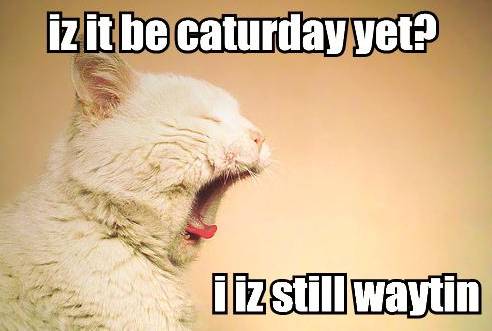 KitWisdom