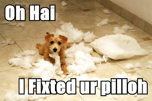 KitWisdom
