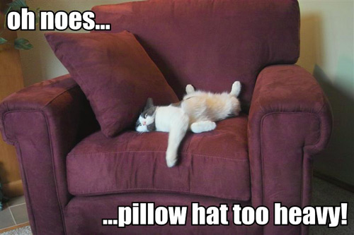 KitWisdom