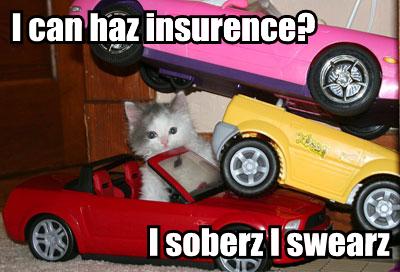 KitWisdom