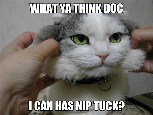 KitWisdom