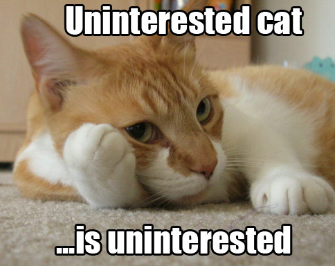 KitWisdom