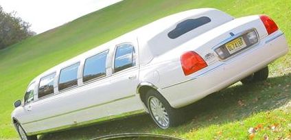 Michi9506