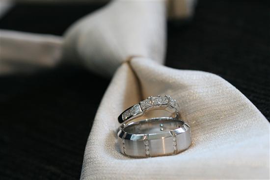 Dnn518