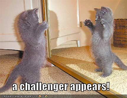 KitWisdom