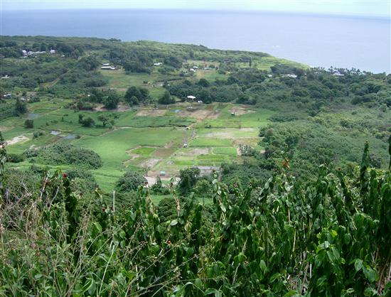 Unapearla