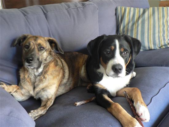 katleigh3
