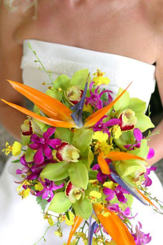 Butterfly_K1sses_17