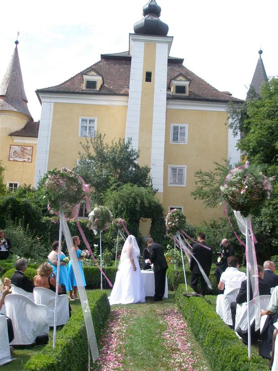 erdbeere