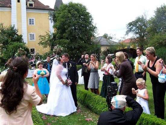 erdbeere