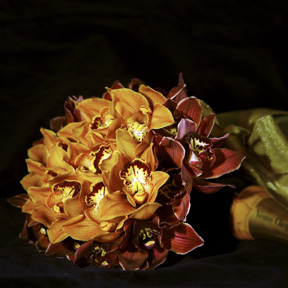 Fall Bride 2008