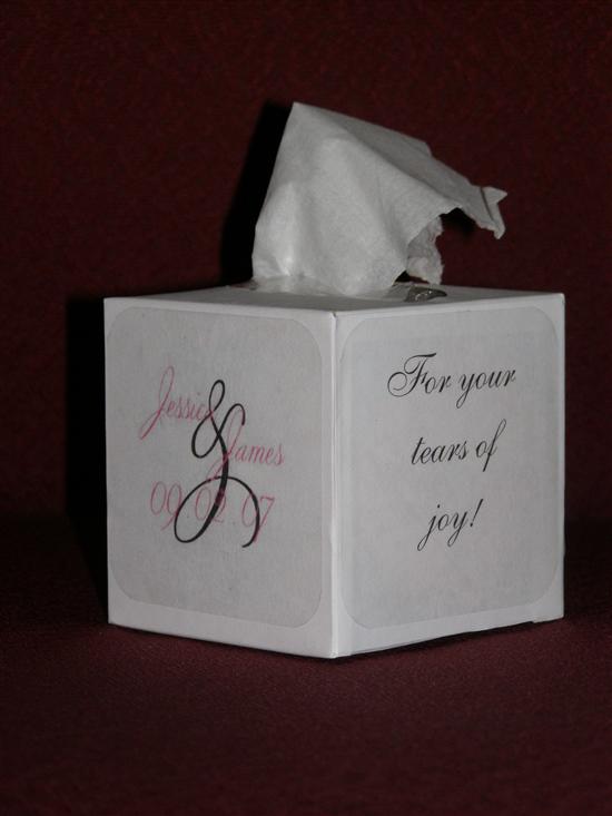 jessandjimiswedding