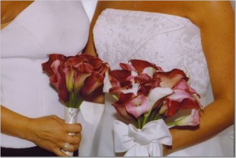mrs.kostas