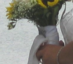 AnniesSS
