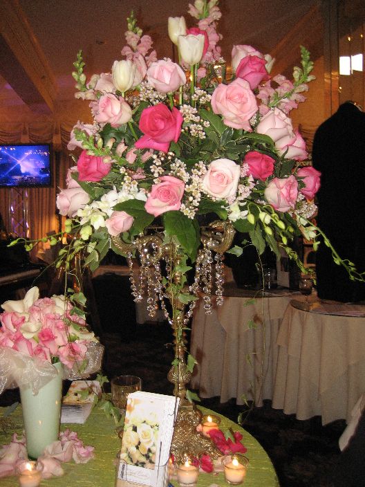 orchid22