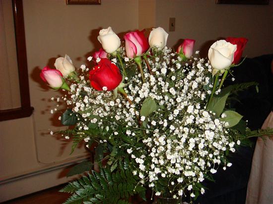 november152008