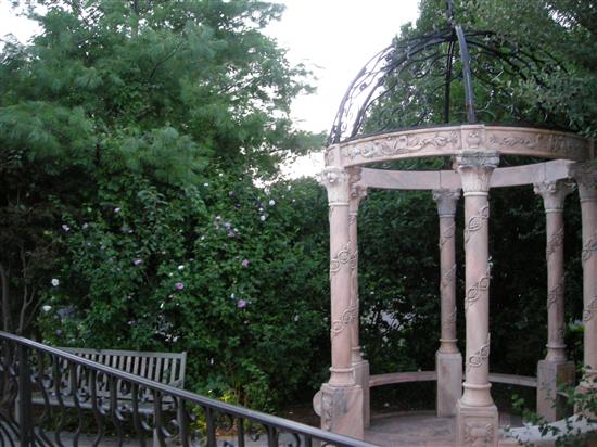 dazies1011