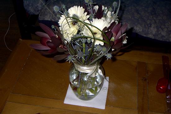 DrWho