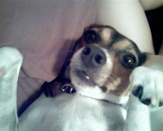 Browneyesncute
